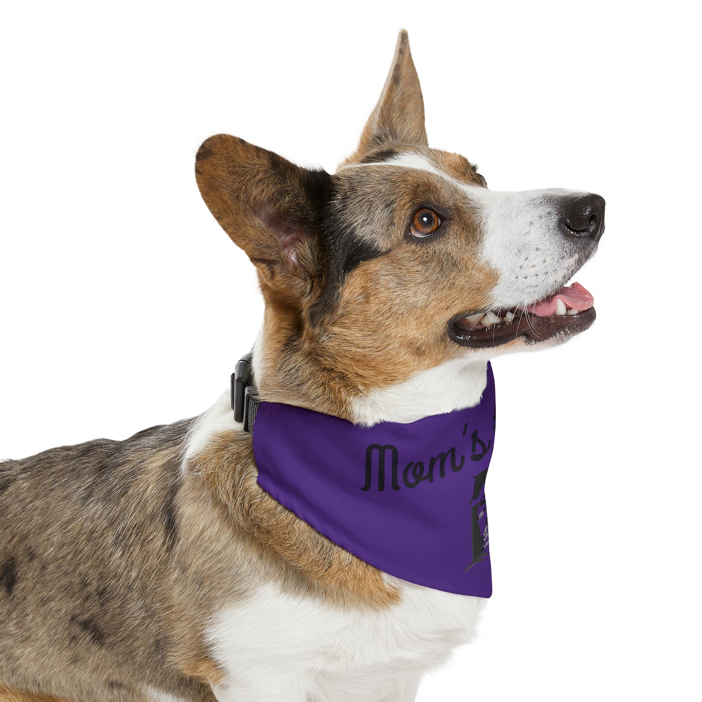 Pet Collar - Mom's #1 Fan - Jumpers Purple