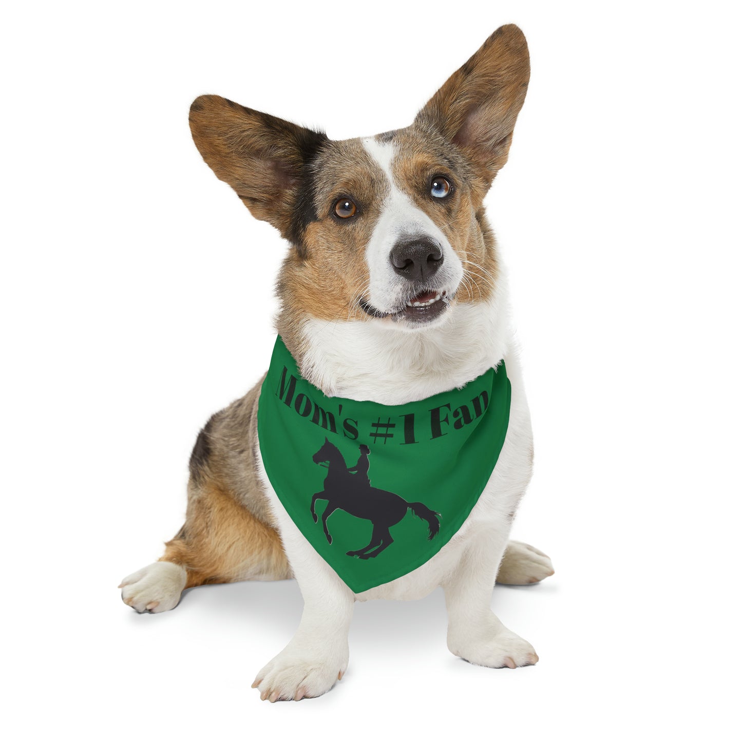 Pet Collar - Moms #1 Fan - Dressage Dark Green