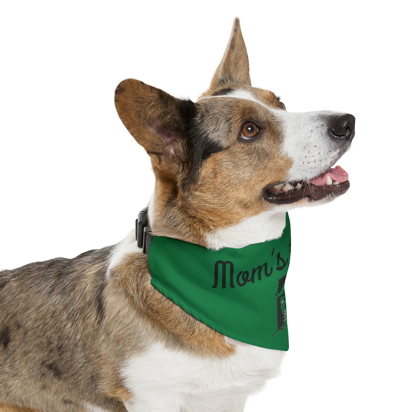 Pet Collar - Mom's #1 Fan - Jumpers Dark Green