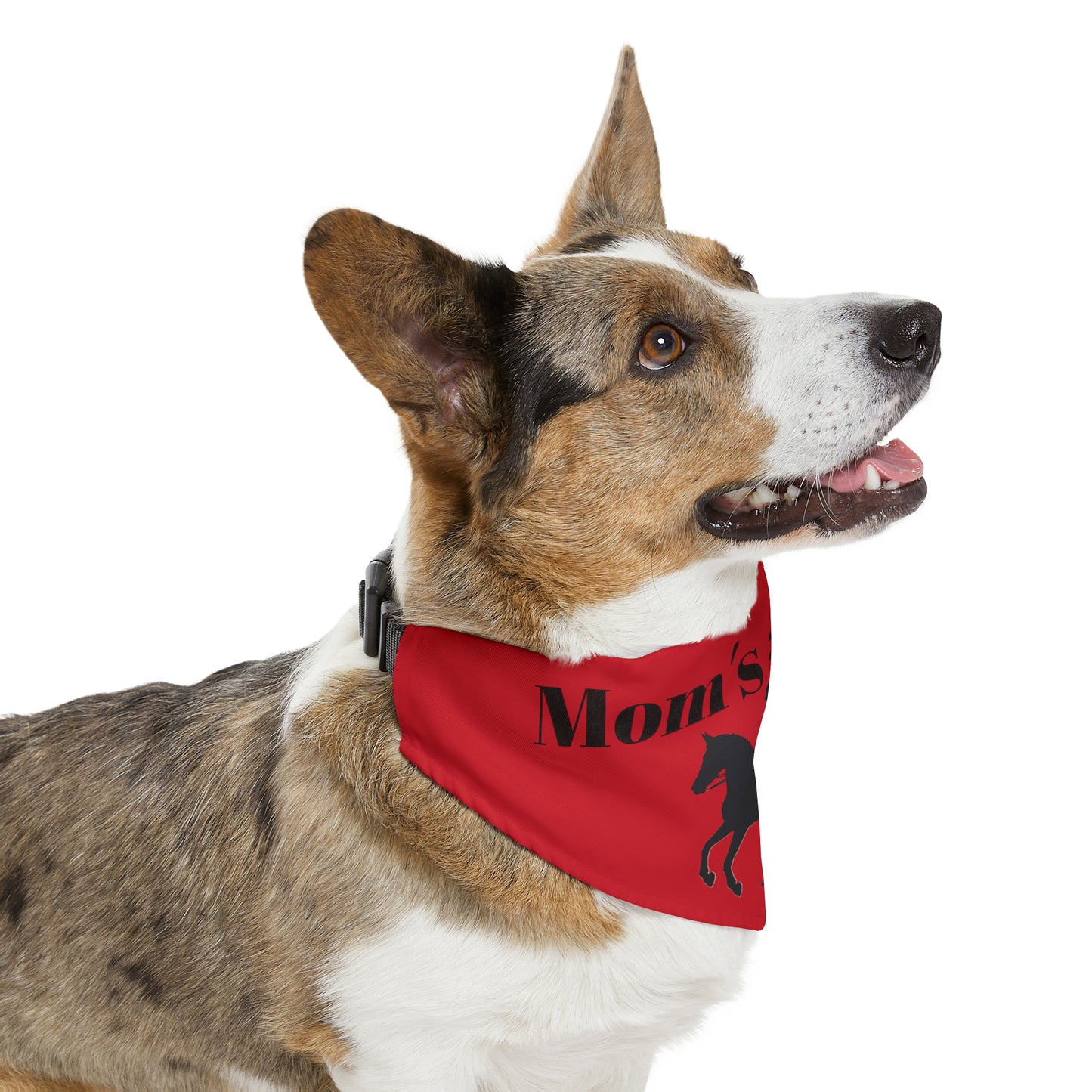 Pet Collar - Moms #1 Fan - Dressage Dark Red