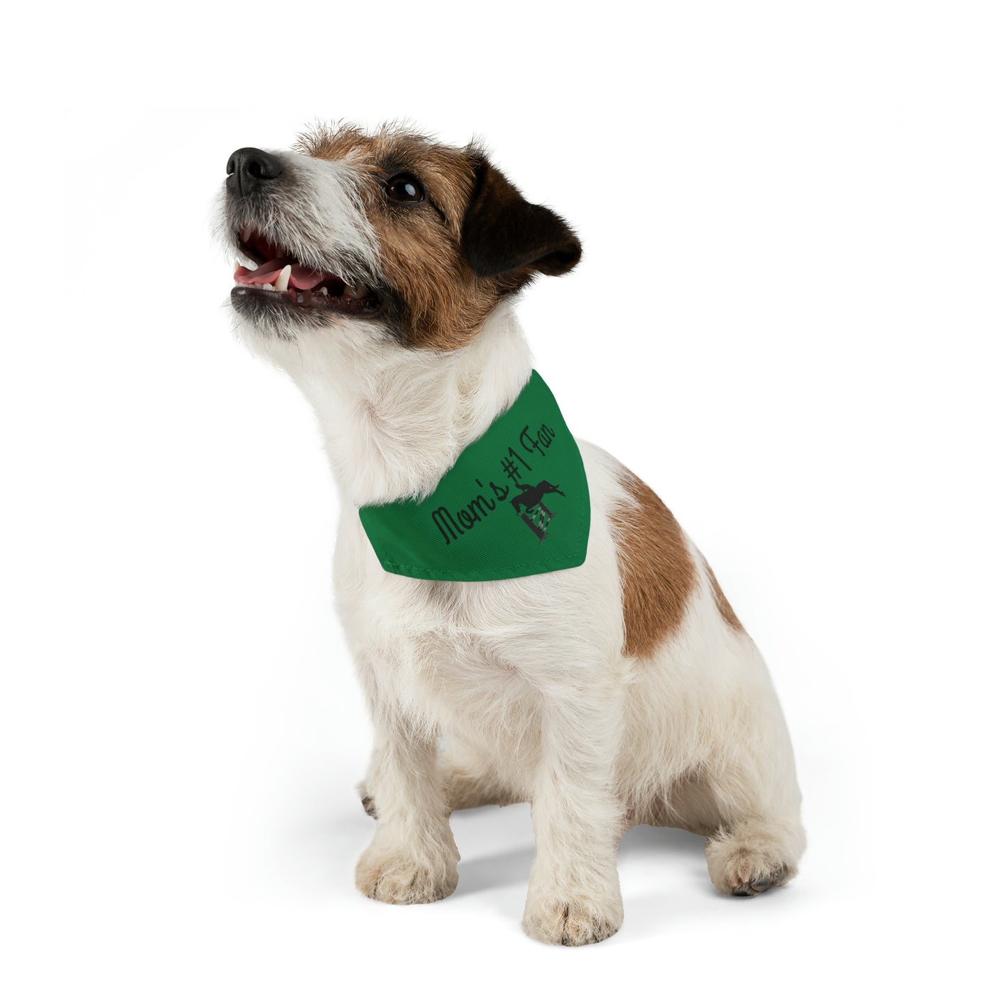 Pet Collar - Mom's #1 Fan - Jumpers Dark Green