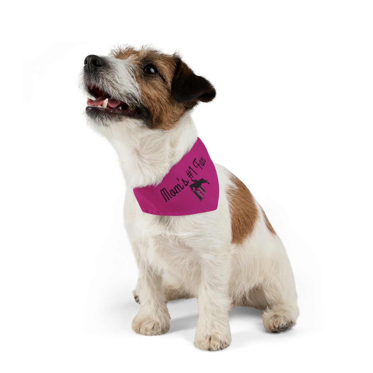 Pet Collar - Mom's #1 Fan - Jumpers Pink