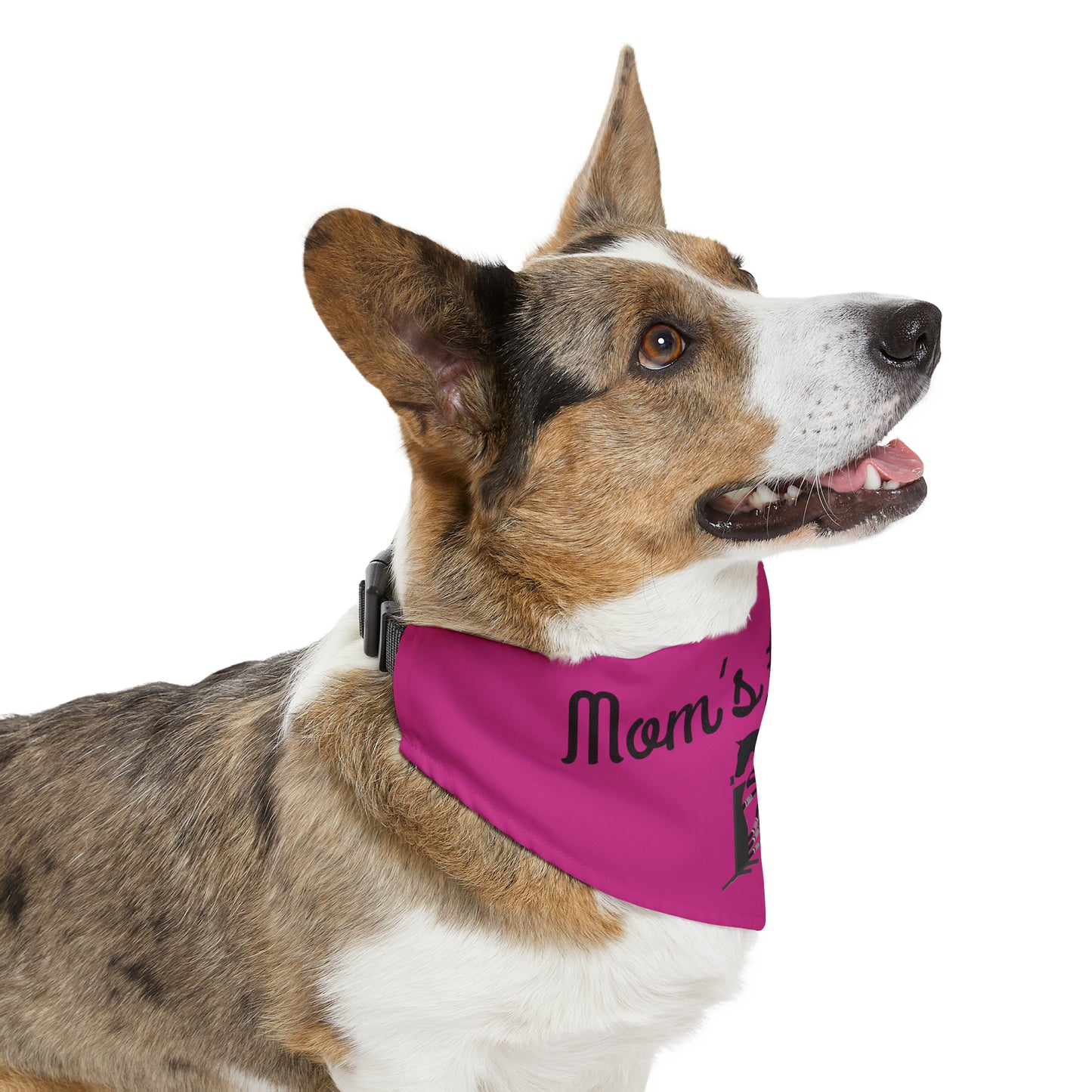 Pet Collar - Mom's #1 Fan - Jumpers Pink