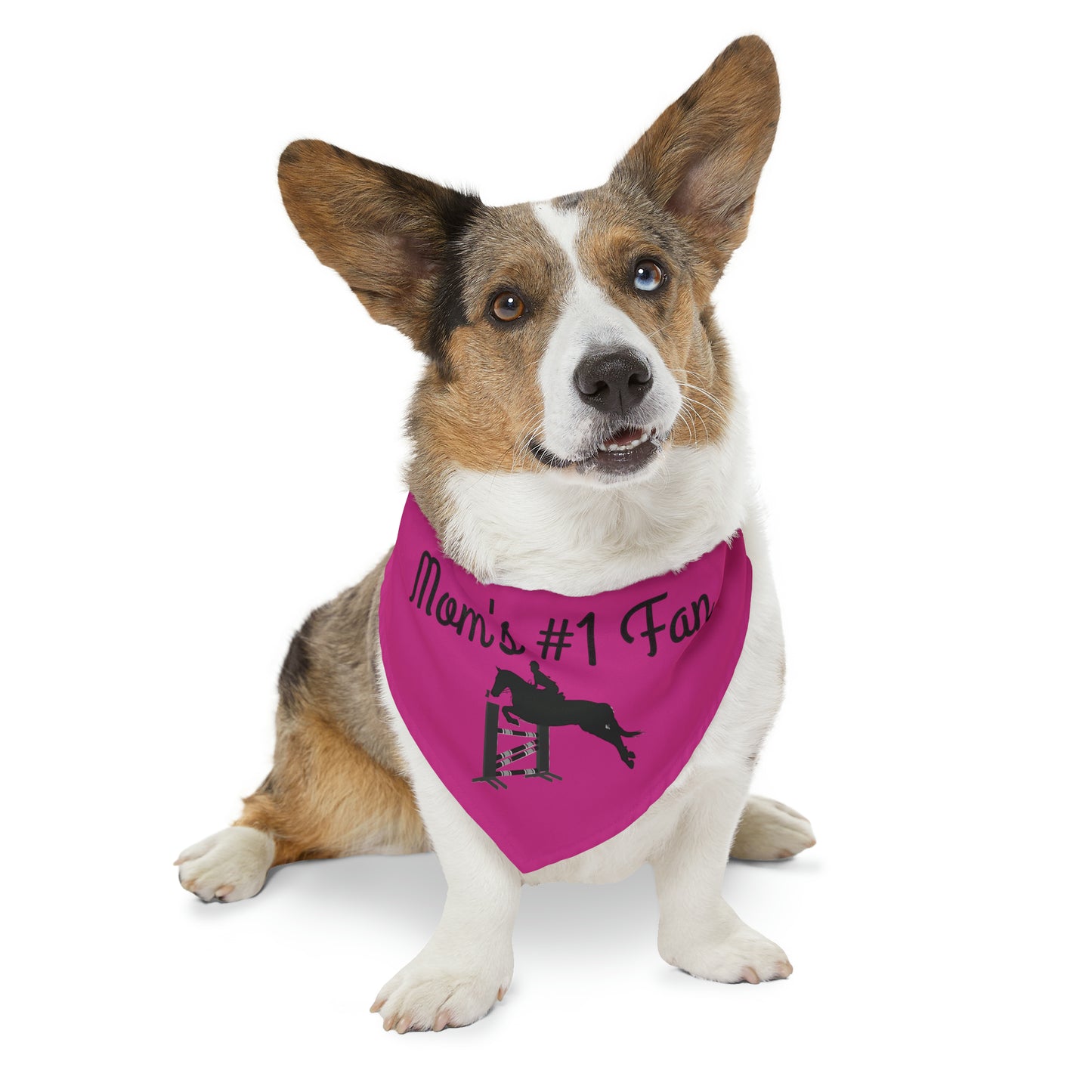 Pet Collar - Mom's #1 Fan - Jumpers Pink