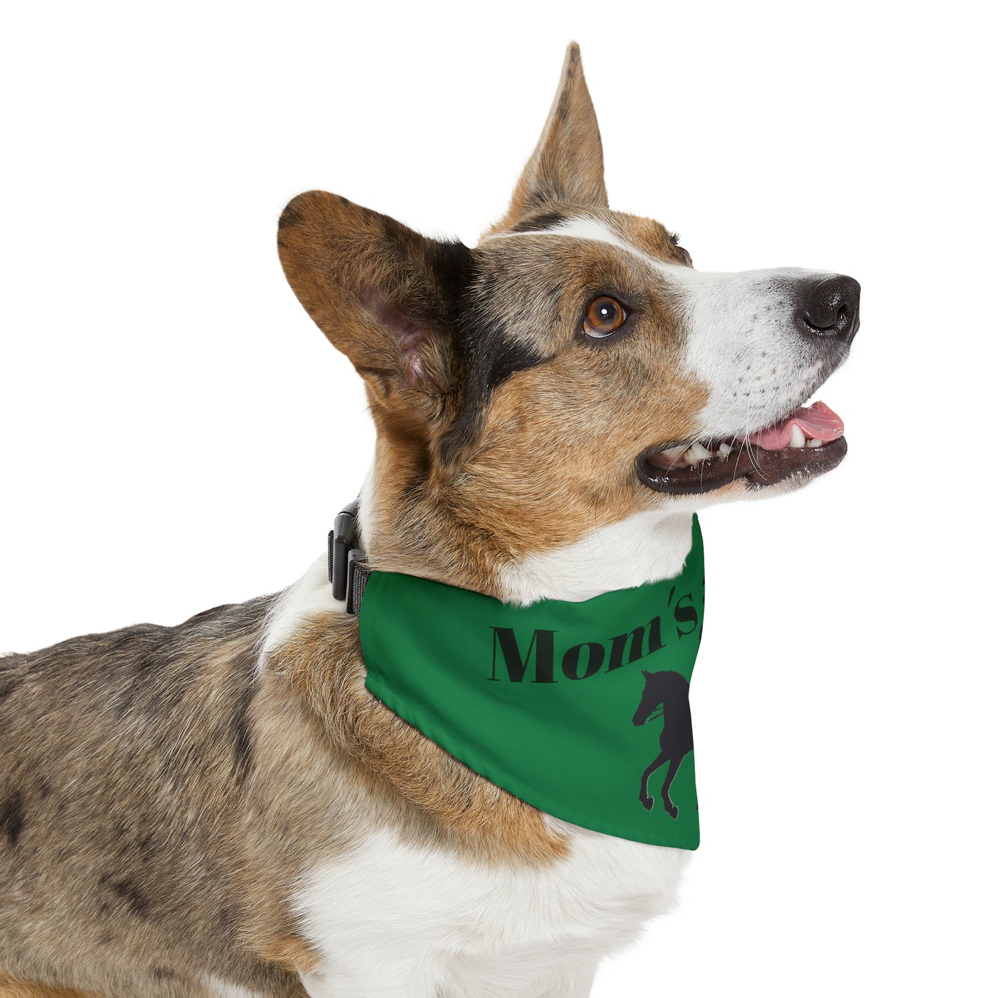 Pet Collar - Moms #1 Fan - Dressage Dark Green