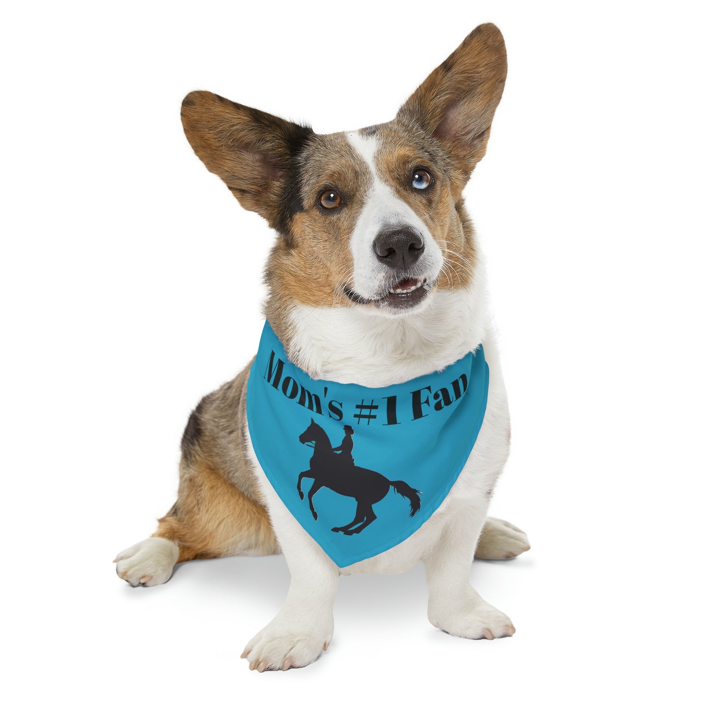 Pet Collar - Moms #1 Fan - Dressage Blue