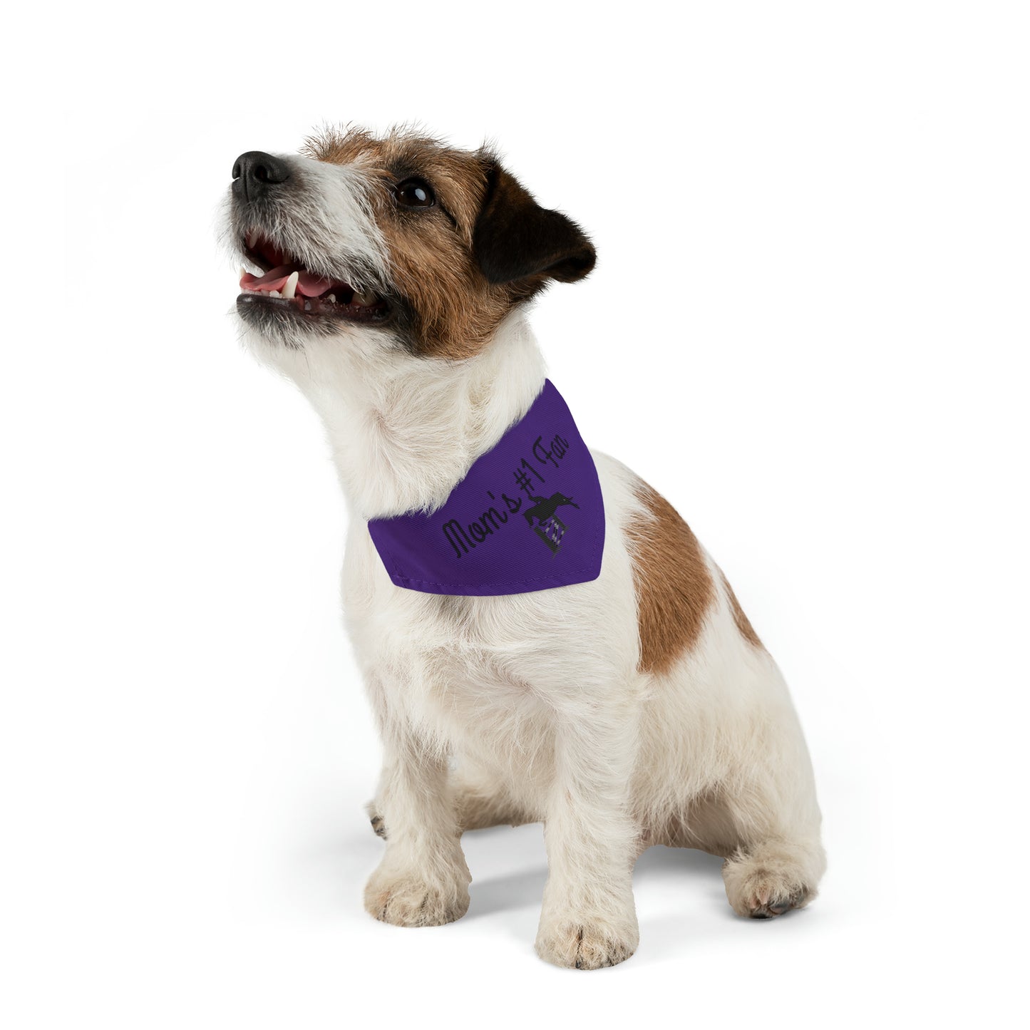 Pet Collar - Mom's #1 Fan - Jumpers Purple
