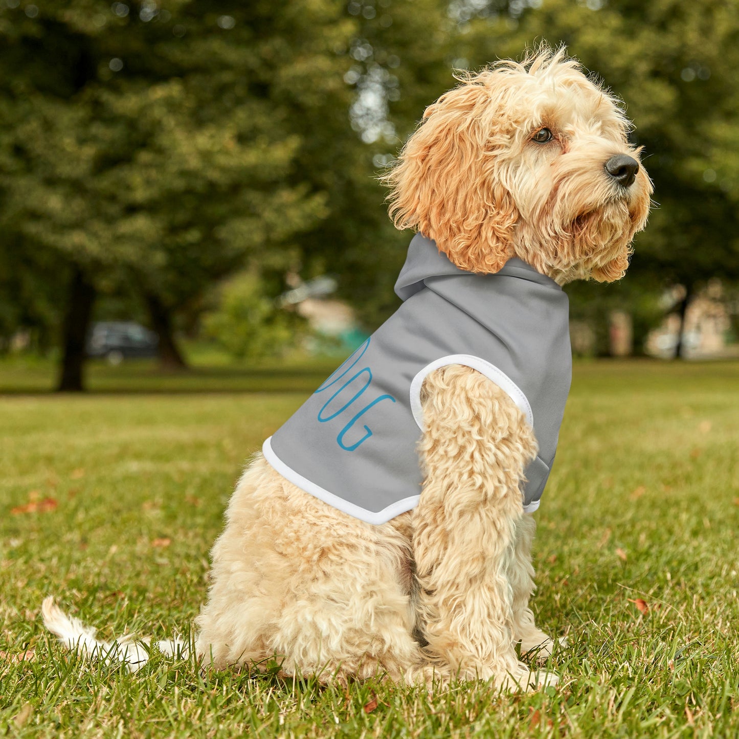 Shirt - Dog Hoodie Barn Dog