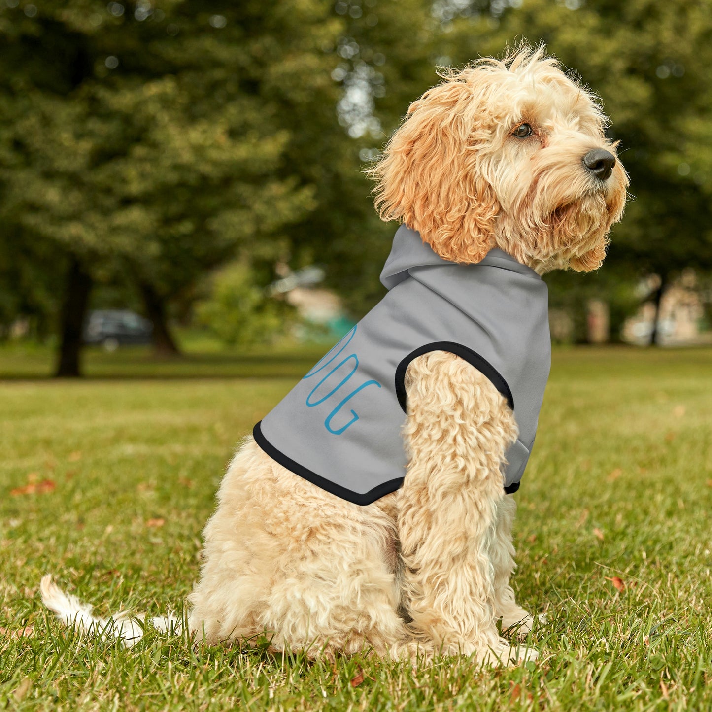 Shirt - Dog Hoodie Barn Dog