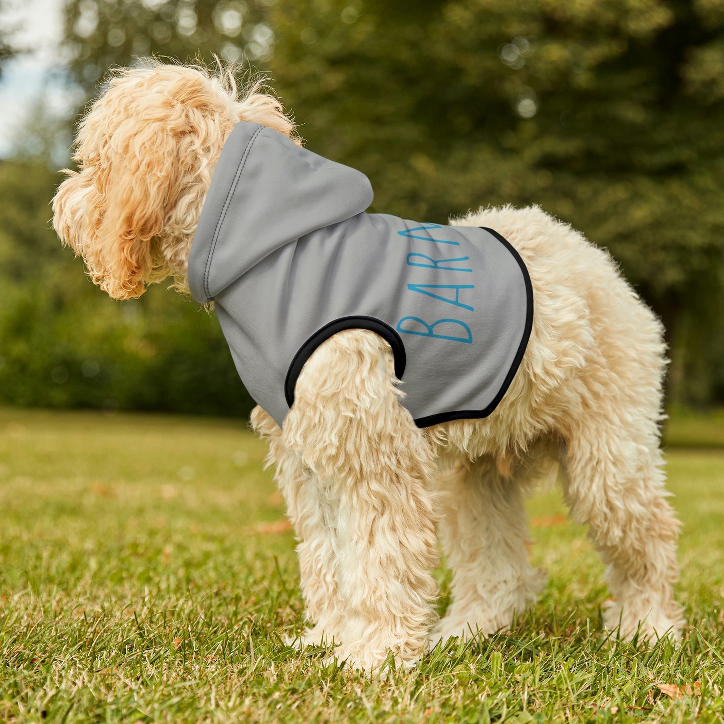 Shirt - Dog Hoodie Barn Dog