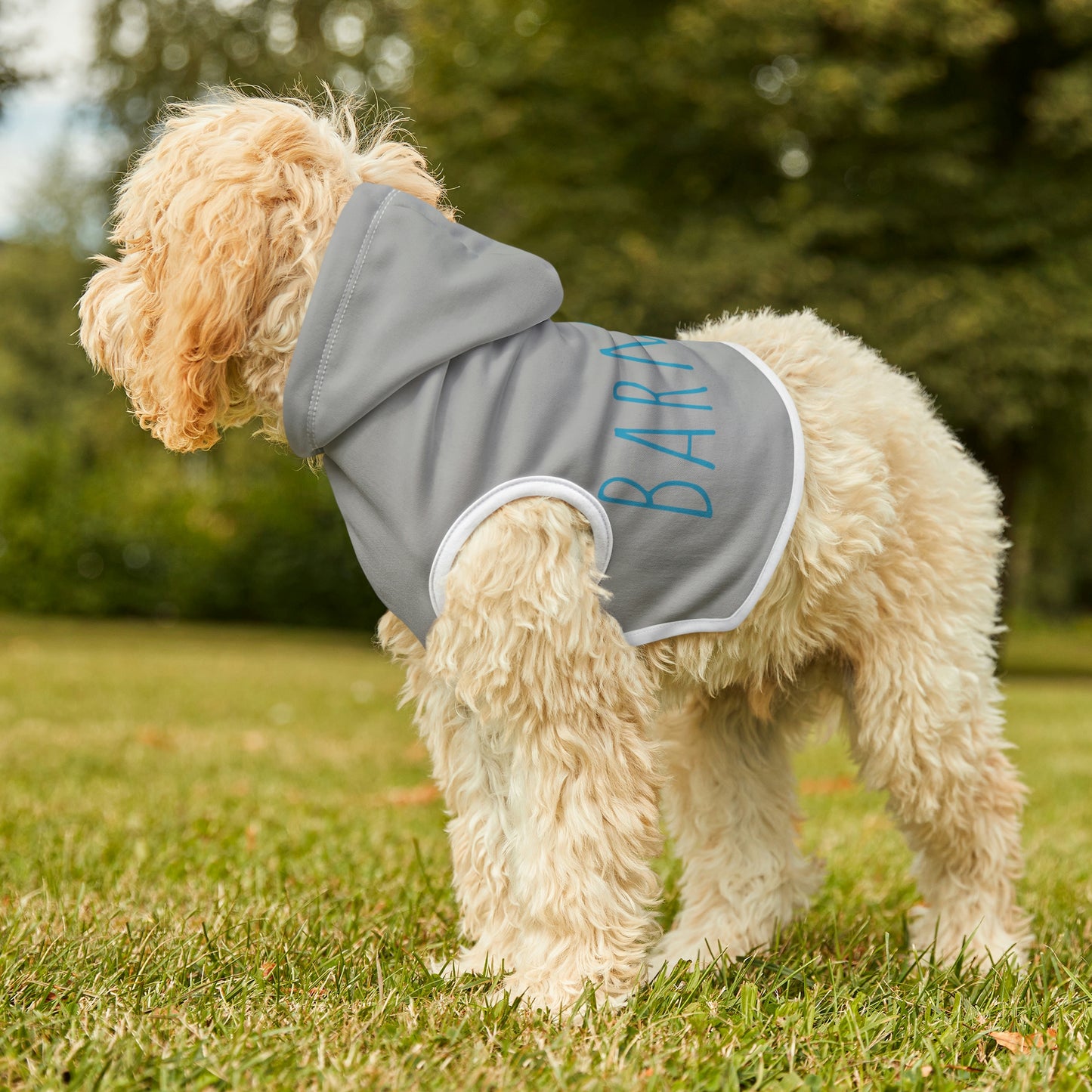 Shirt - Dog Hoodie Barn Dog